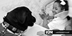 Innovación: CAID introduce terapias asistidas con perros entrenados para niños en condiciones de autismo y parálisis cerebral