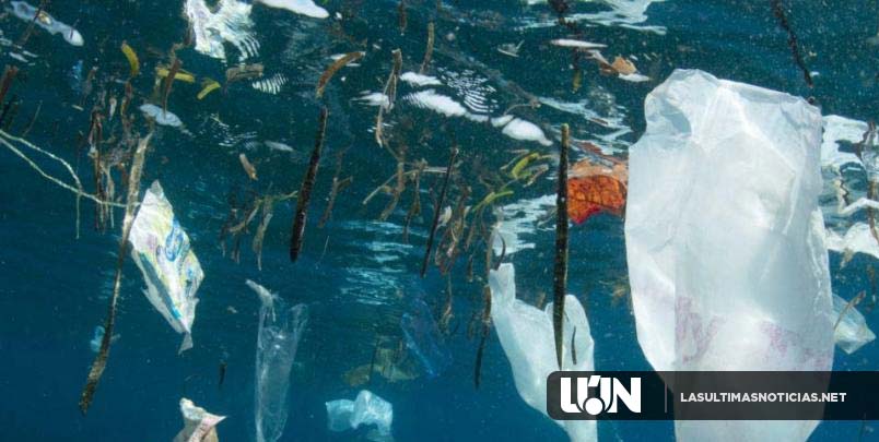 La ONU y National Geographic se unen para alertar del problema del plástico