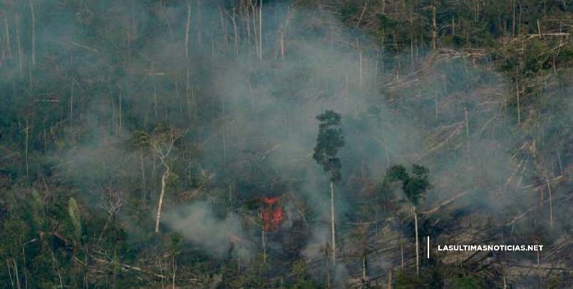 Ambientalistas llaman a la “acción” contra la deflagración en la Amazonía