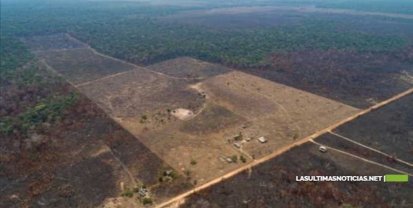 Bolsonaro dice que quiere hablar de incendios en la Amazonía ante la ONU