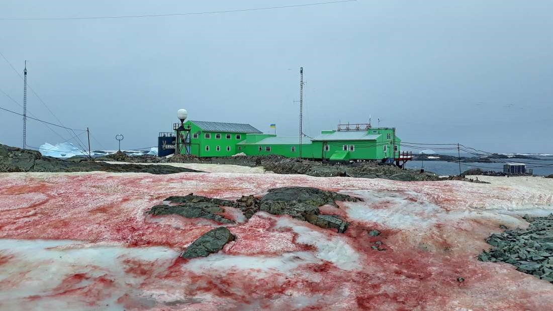 La Antártida amanece con impactantes imágenes de hielo rojo, y no son buenas noticias