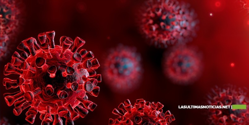 Científicos descubren cómo el coronavirus se une a las células humanas para “secuestrarlas” y producir más virus