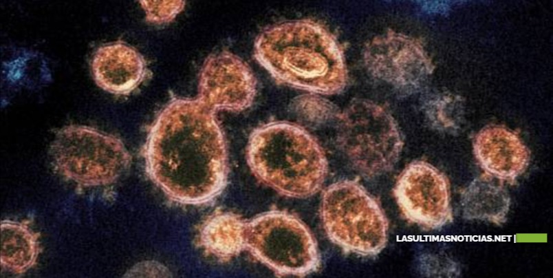 La Nueva variante de coronavirus llega a Estados Unidos