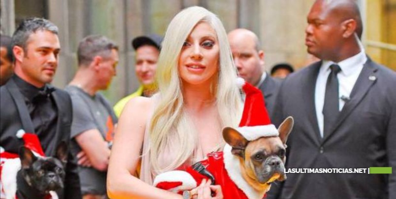 Lady Gaga recupera ilesos sus costosos perros tras violento robo