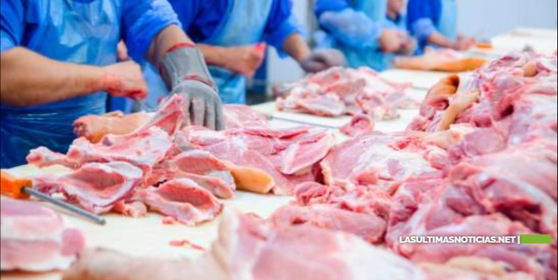 Fiebre porcina no afecta a los humanos; el consumo de carne de cerdo es seguro