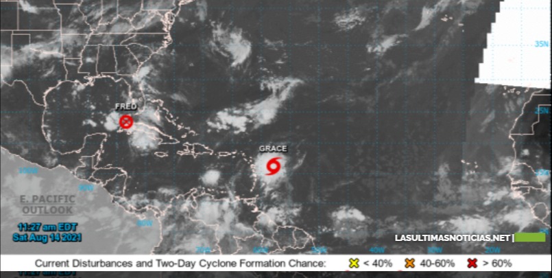Tormenta tropical Grace se fortalece mientras Fred se degrada a onda tropical