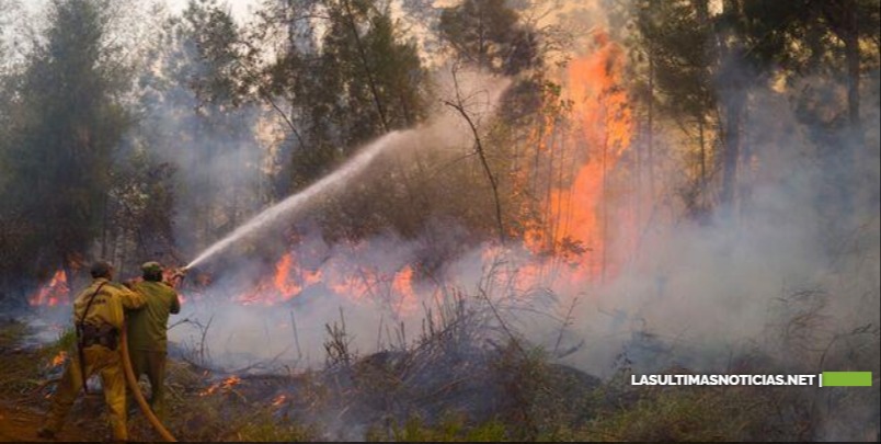 Incendios consumen 3,600 hectáreas y dañan especies en Cuba