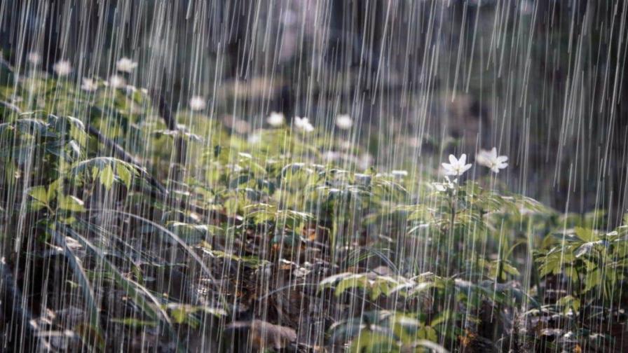 Vaguada continuará generando lluvias en gran parte de la República Dominicana